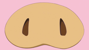 Accel World: Acchel World.